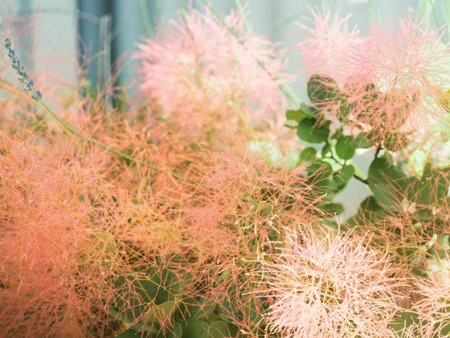 IMG_20190618_081852_806