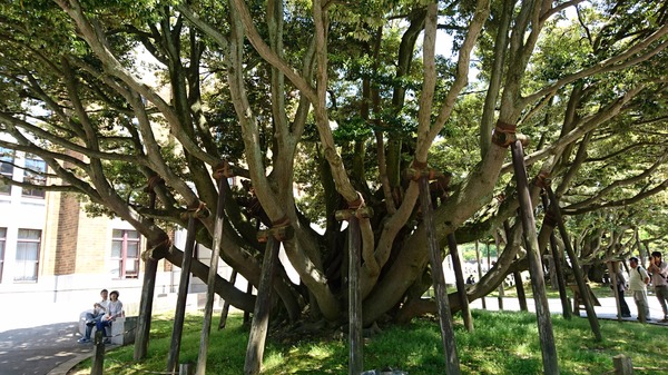 IMG_20170513_175241_793