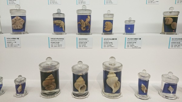 IMG_20170727_172744_311