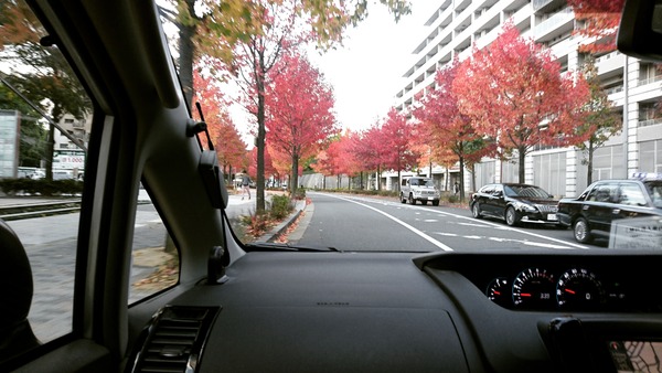 IMG_20171109_080624_466