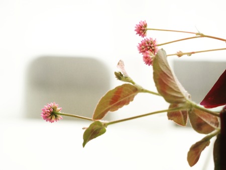 IMG_20201102_095959_600