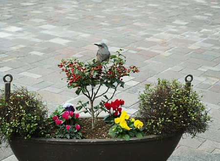 IMG_20210210_215051_776