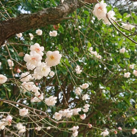 IMG_20190221_225322_843