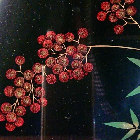 IMG_20190104_131911_344