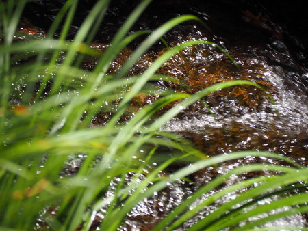 P9021360