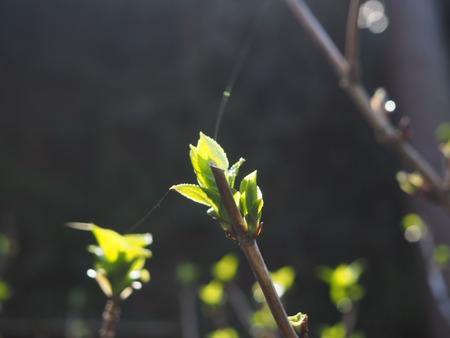 IMG_20200311_183725_835