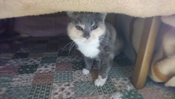 IMG_20171218_090625_752