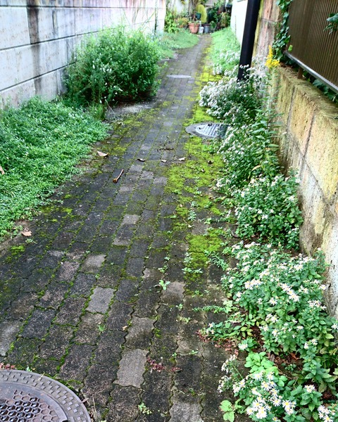 IMG_20171019_121027_790