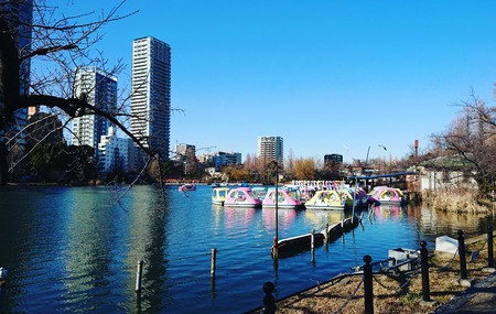 IMG_20200204_123634_015