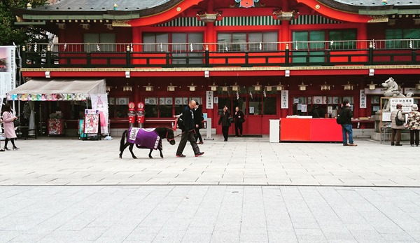 IMG_20171214_182433_208