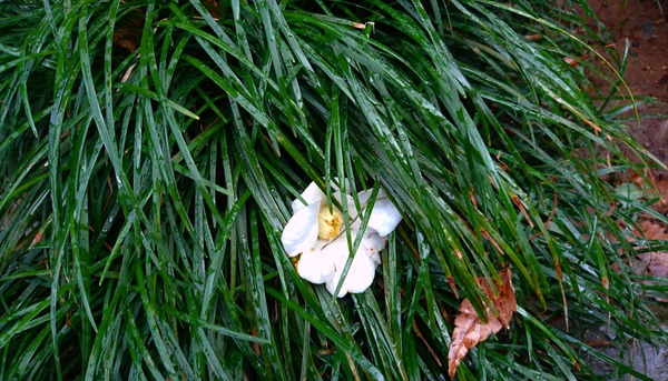 IMG_20161226_225838_290