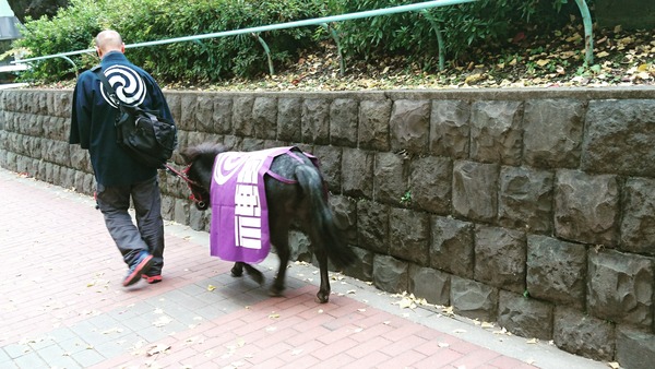 IMG_20171214_135437_043