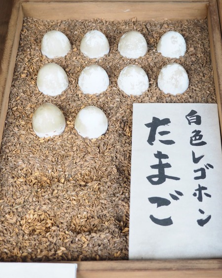 IMG_20200910_183811_835