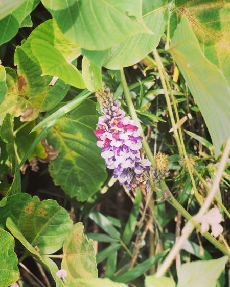 sketch-1631505090879