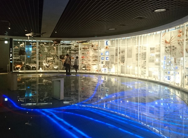 IMG_20170727_171523_830