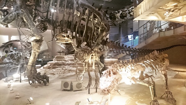 IMG_20170727_171637_329