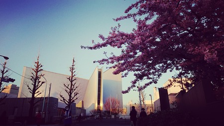 IMG_20190314_234003_560