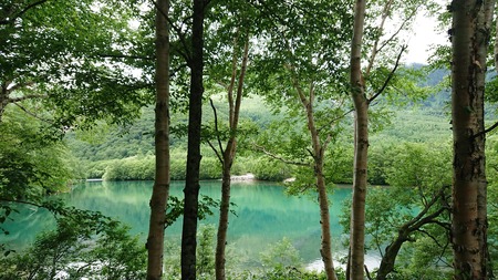 IMG_20180823_103127_656