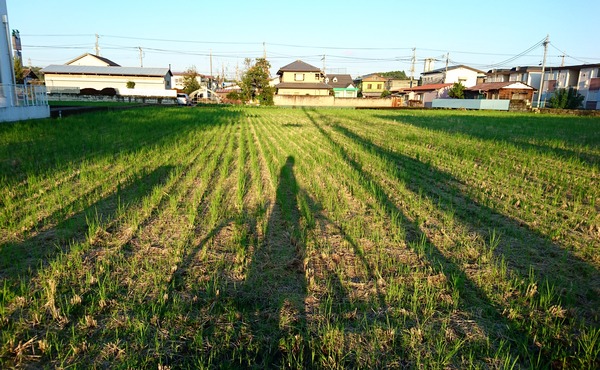 IMG_20171017_223849_970