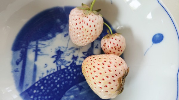 IMG_20180526_121023_739