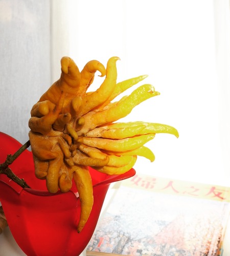 IMG_20200103_120154_256