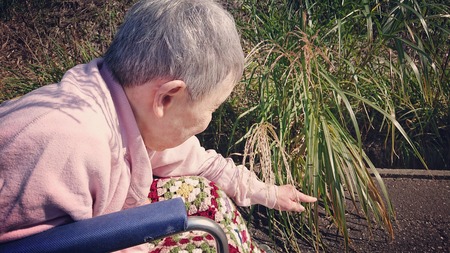 IMG_20181022_004944_065