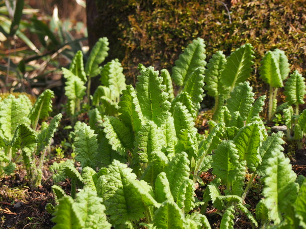 P3050949