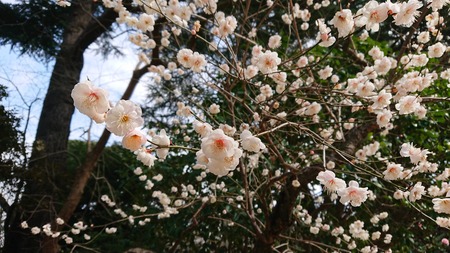 IMG_20190221_225135_244