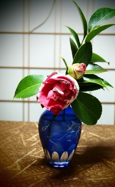 OmwufTzEZLvpQJY1451751483_1451751552