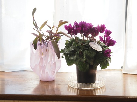 Point Blur_20200104_120531