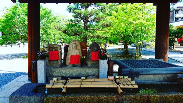 IMG_20170609_114423_629