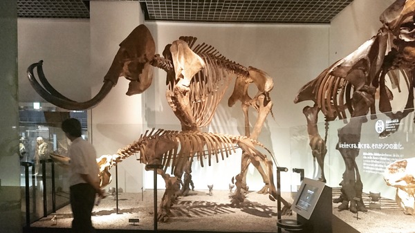 IMG_20170727_171859_352