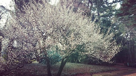 IMG_20190221_225721_506