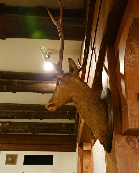 IMG_20180817_113211_558