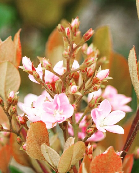 IMG_20200417_150553_059