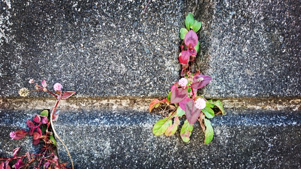 IMG_20180114_232412_404