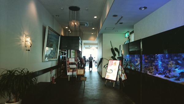 IMG_20170428_144510_882