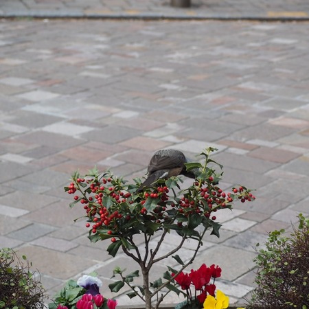 IMG_20210210_215652_853