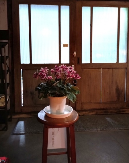 Lumii_20260204_224909543~2