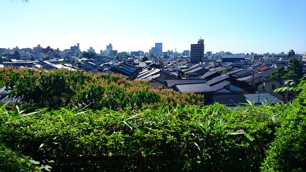 IMG_20170721_204349_142