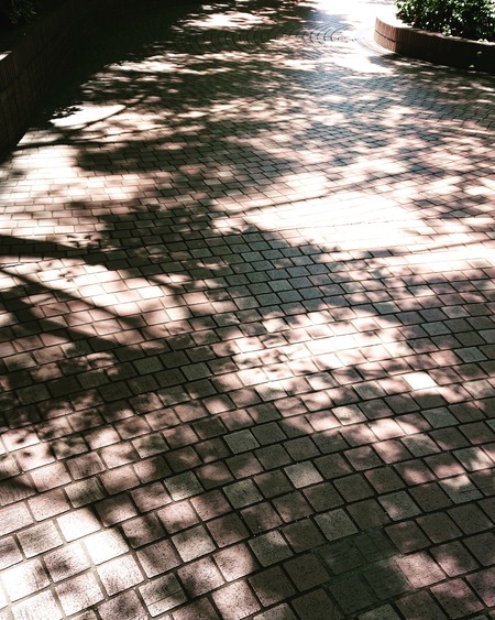 IMG_20210717_120709_366