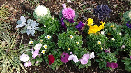 IMG_20191224_195902_972