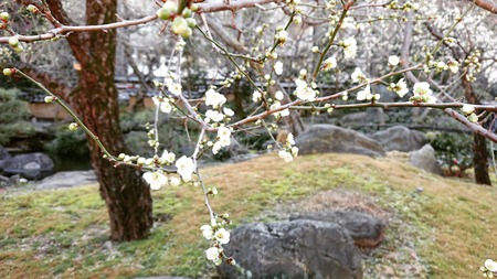 IMG_20200204_123211_265