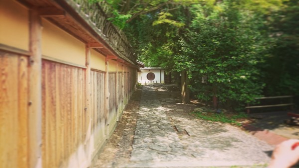 IMG_20170611_110456_188