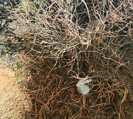 IMG_20200222_135816_825