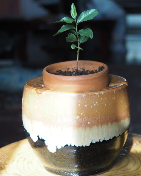 IMG_20181118_115811_097