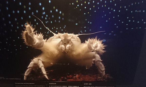 IMG_20170727_165832_615