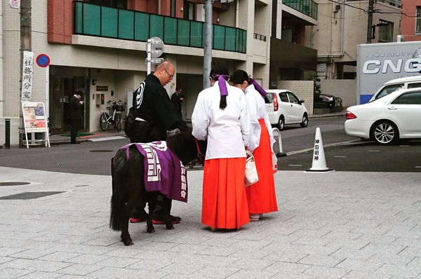 IMG_20171214_181540_867