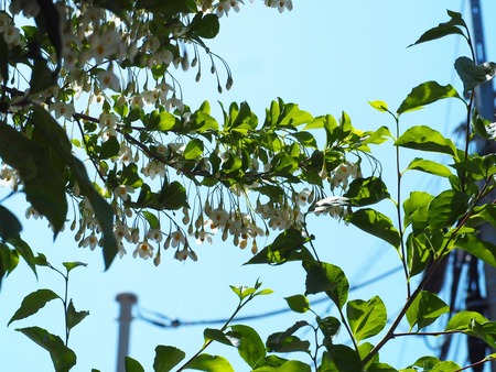 IMG_20210501_002539_829