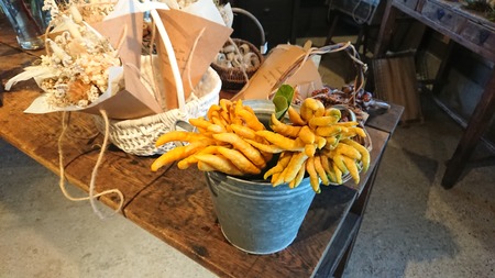 IMG_20191224_082859_409